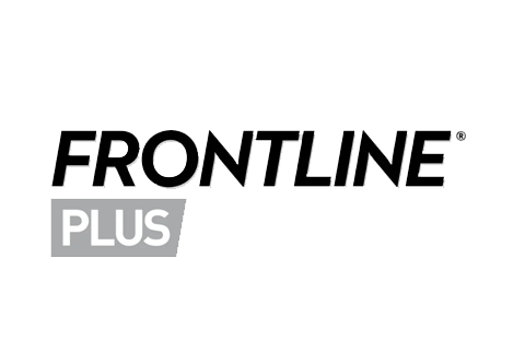 frontline
