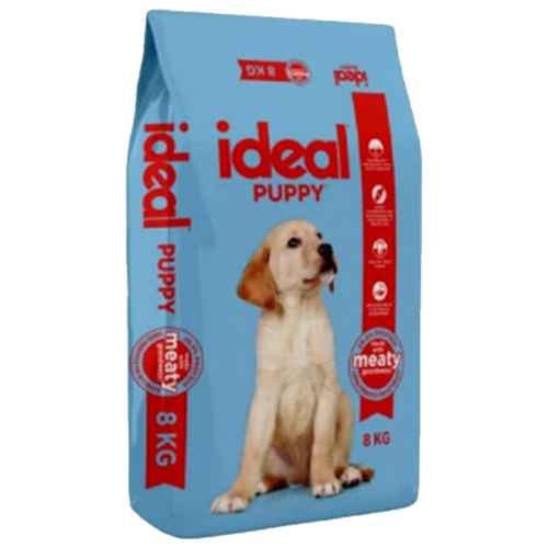 ideal puppy