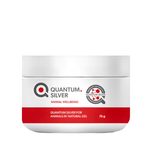 Quantum Silver Gel 70g