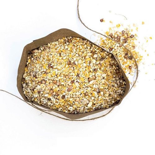 Serfco-Mixed-Chick-Chick Serfco