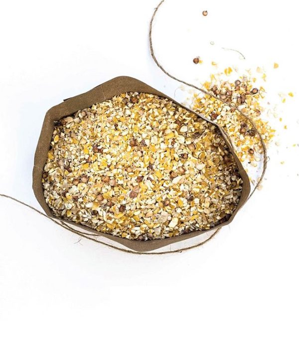 Serfco-Mixed-Chick-Chick Serfco