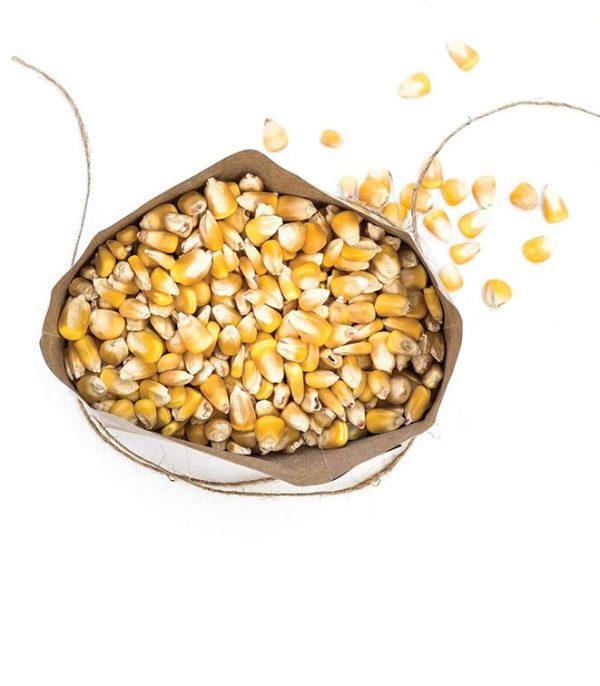 Serfco-Whole-Yellow-Maize Serfco