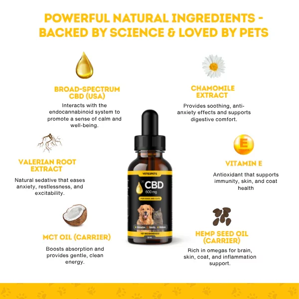 Vets2Pets Premium CBD Oil for Dogs & Cats - 600mg CBD (30ml)