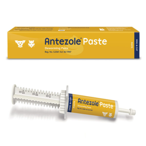 Antezole-Paste Kyron - 15ml Antezole Paste -Deworming For Cats And Dogs