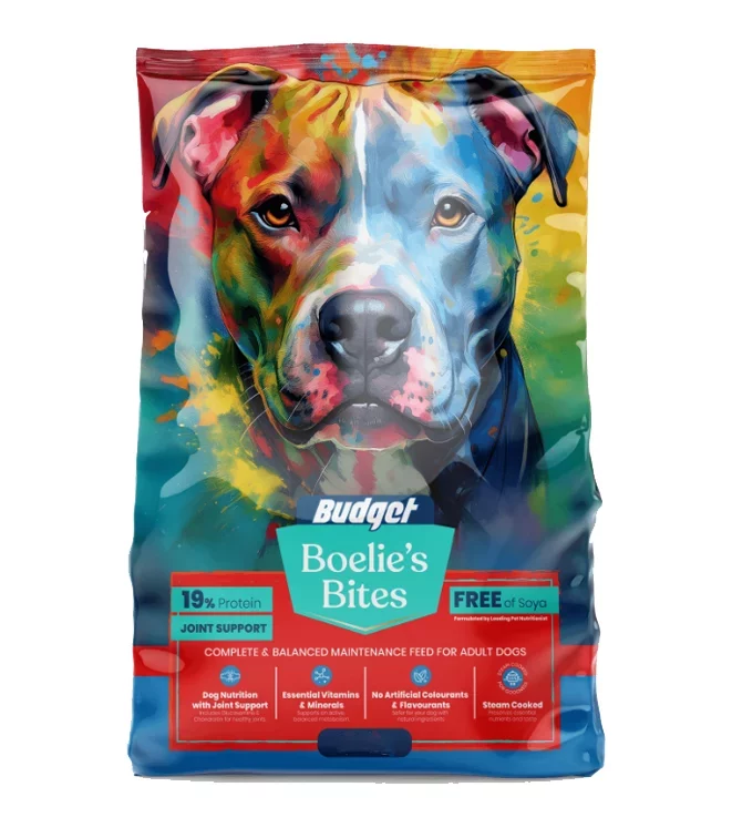 BoelieBitesBudget Boelie's Bites Budget