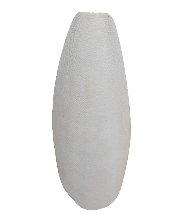Cuttlebone for Birds Cuttlebone for Birds