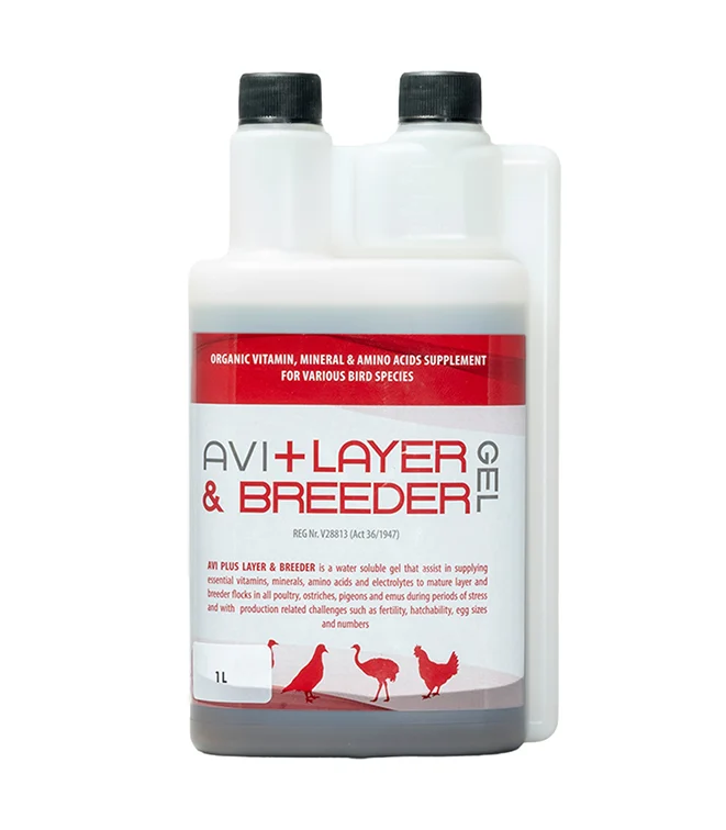 Camelus-AVI-Layer-Breeder