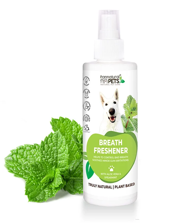 PANNATURAL-COOL-BREATH---BREATH-FRESHNER-250ML Pannatural Cool Breath – Breath Freshener 250ml