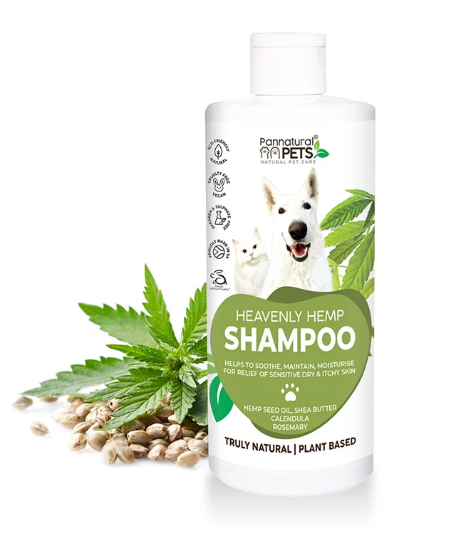 PANNATURAL-HEAVENLY-HEMP-SHAMPOO-500ML Pannatural Heavenly Hemp Shampoo 500ml