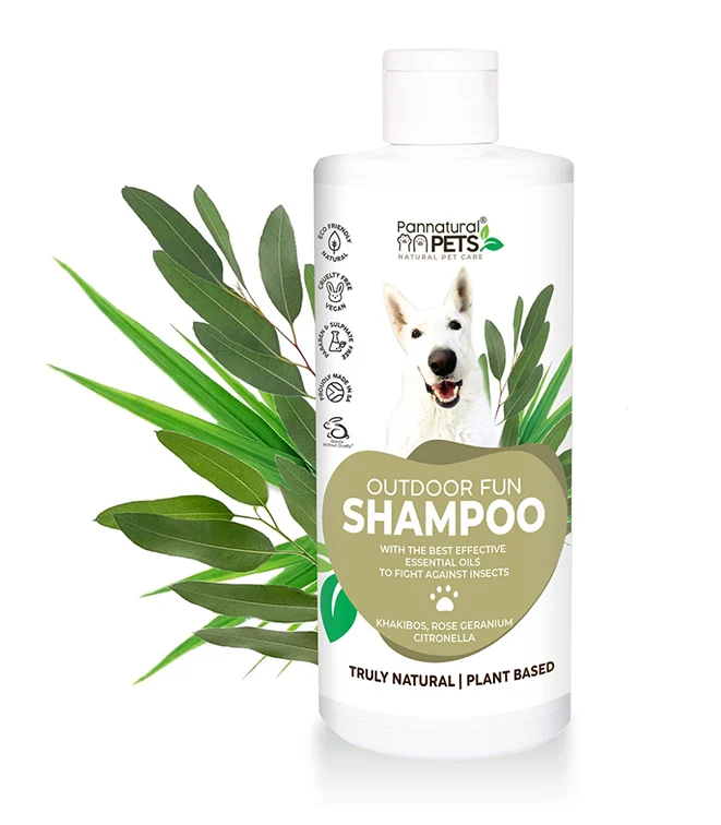 PANNATURAL-OUTDOOR-FUN-SHAMPOO-500ML Pannatural Outdoor Fun Shampoo 500ml