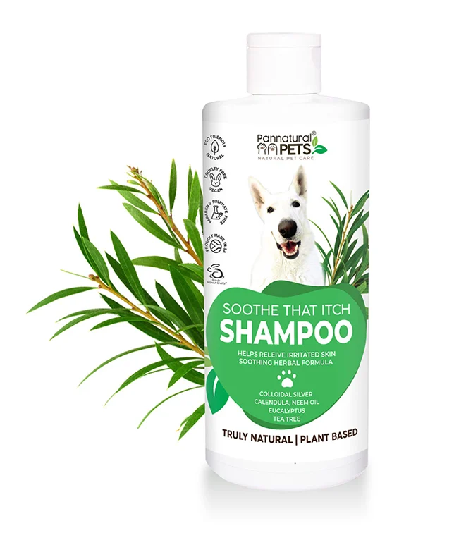 PANNATURAL-SOOTH-THAT-ITCH-SHAMPOO-500ML Pannatural Soothe That Itch Shampoo 500ml