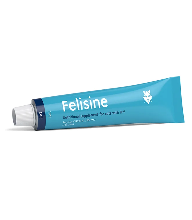 KYRON-FELISINE-PASTE Kyron Felisine Paste 60ml